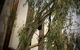 Alphington Grammar School - thumb 4
