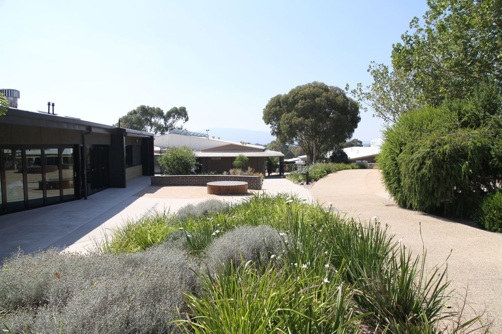 Wantirna VIC Education Gold Coast