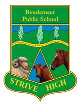 Bendemeer Public School - Education QLD 0