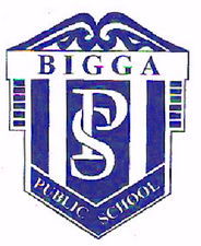 Bigga NSW Schools and Learning Education Brisbane Education Brisbane