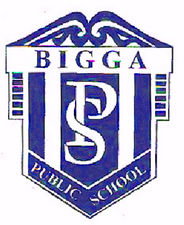 Bigga Public School - Education Gold Coast 0
