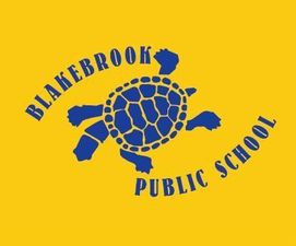 Blakebrook Public School - Education QLD 0