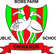Bobs Farm Public School