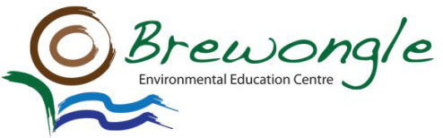 Sackville North NSW Education Brisbane