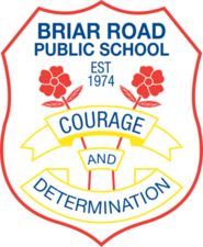 Briar Road Public School - Education QLD 0
