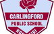 Carlingford Public School - thumb 0