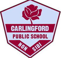 Carlingford Public School - Education QLD