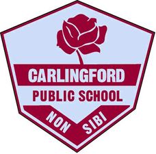 Carlingford Public School - Education QLD 0