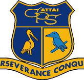Cattai Public School - Education QLD