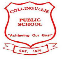 Collingullie Public School - Education QLD