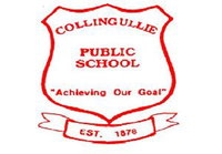 Collingullie Public School