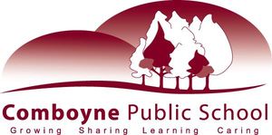 Comboyne Public School - Education QLD 0