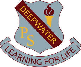 Deepwater Public School - Education QLD 0