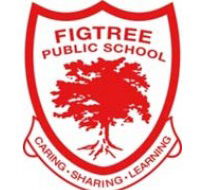 Figtree Public School - Education QLD