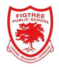 Figtree Public School - Education QLD 0