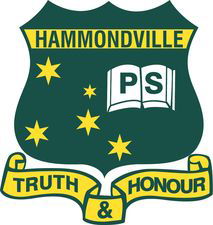 Hammondville NSW Education QLD