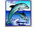 Port Stephens Driver Training - Education QLD 0