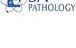 SA Pathology - thumb 0