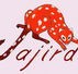 Jajirdi Consultants - Education Gold Coast