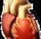 Lynex Health Care  Training Services - Education Brisbane