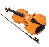 Violin Sports - Education QLD