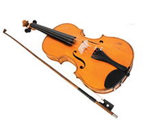 Violin Sports - Education QLD 0