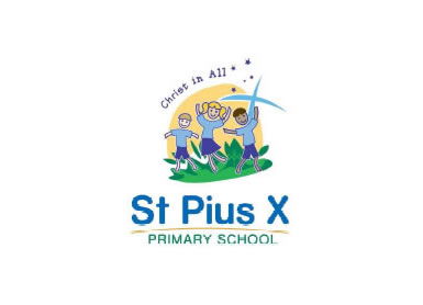 St Pius X School Salisbury - Education QLD 0