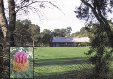 Banksia Park Primary School - Education QLD 3