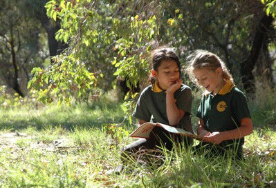 Hilton Primary School - Education QLD 1