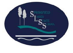 Springfield Lakes State School - Education Brisbane 0