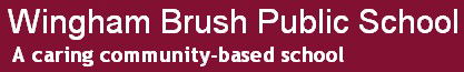 Wingham Brush Public School - Education QLD 0