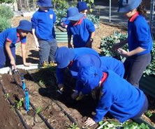Beckenham Primary School - Education QLD 1