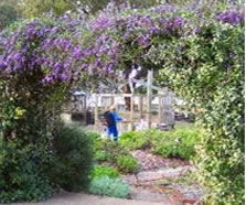Rosalie Primary School - Education QLD 1