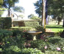 Rostrata Primary School - Education QLD 2