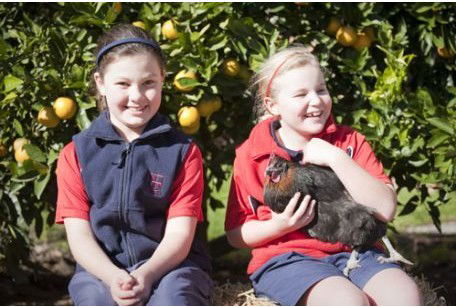 Northholm Grammar School - Education QLD 2