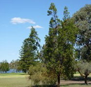Lake Monger Primary School - Education QLD