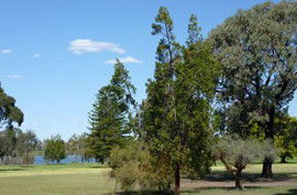 Lake Monger Primary School - Education QLD 0
