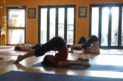 The Yoga Space - Education QLD 3