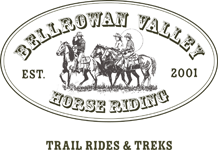 Bellrowan Valley Horse Riding - Education QLD 0