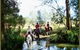 Bellrowan Valley Horse Riding - thumb 2