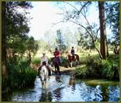 Bellrowan Valley Horse Riding - Education QLD 2