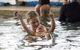 Marlins Swim School - thumb 18