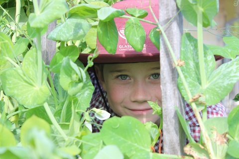 Glasshouse Christian College - Education QLD 3