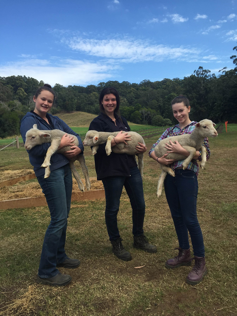 Glasshouse Christian College - Education QLD 4