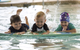 Marlins Swim School - thumb 8