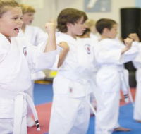 Karate Kids Perth - Education QLD
