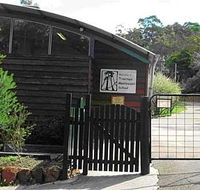 Treetops Montessori Primary School - Education QLD