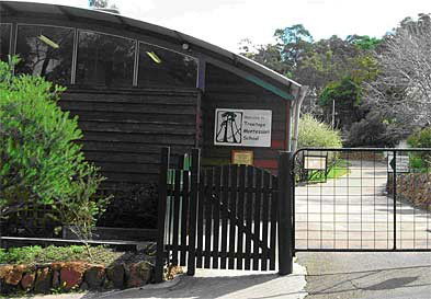 Treetops Montessori Primary School - Education QLD 0