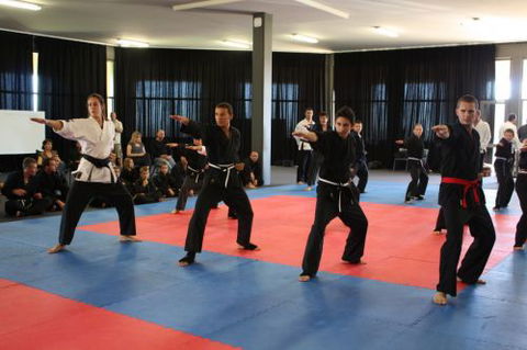 Wyatt's MMA - Education Brisbane 0