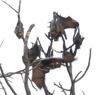 School Incursions Melbourne - Education QLD